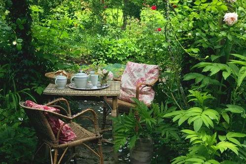 阳光小院爆料视频大全,揭秘生活点滴，展现人间真情