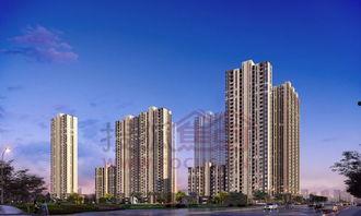 保利百合最新爆料,揭秘项目亮点与未来发展趋势